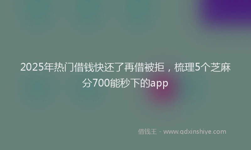 2025年热门借钱快还了再借被拒，梳理5个芝麻分700能秒下的app