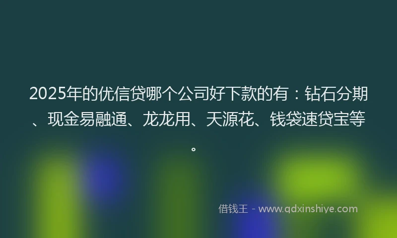 2025年的优信贷哪个公司好下款的有：钻石分期、现金易融通、龙龙用、天源花、钱袋速贷宝等。