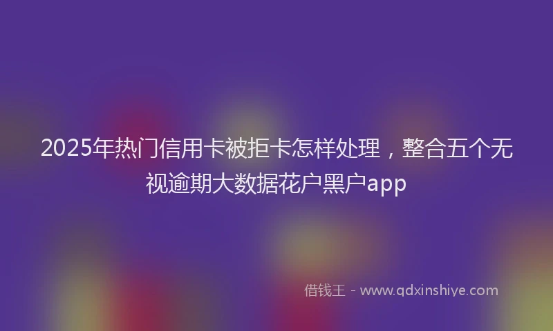 2025年热门信用卡被拒卡怎样处理，整合五个无视逾期大数据花户黑户app
