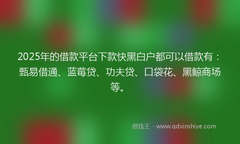 2025年的借款平台下款快黑白户都可以借款有：甄易借通、蓝莓贷、功夫贷、口袋花、黑鲸商场等。