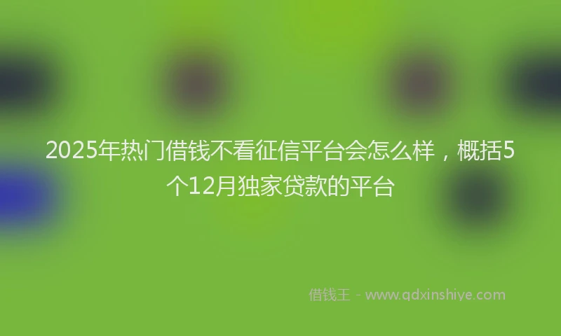 2025年热门借钱不看征信平台会怎么样，概括5个12月独家贷款的平台
