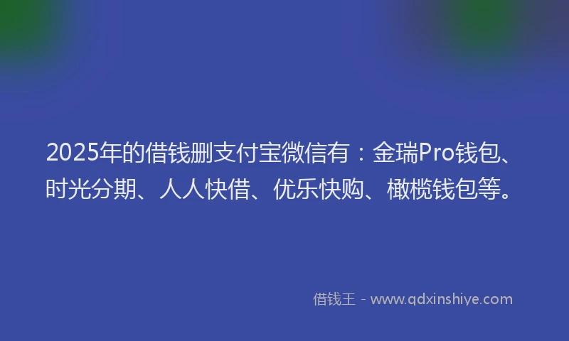 2025年的借钱删支付宝微信有：金瑞Pro钱包、时光分期、人人快借、优乐快购、橄榄钱包等。
