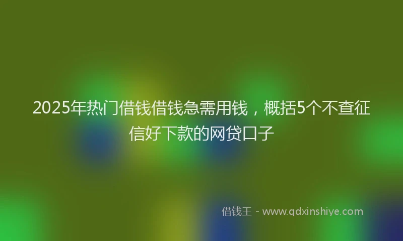 2025年热门借钱借钱急需用钱，概括5个不查征信好下款的网贷口子