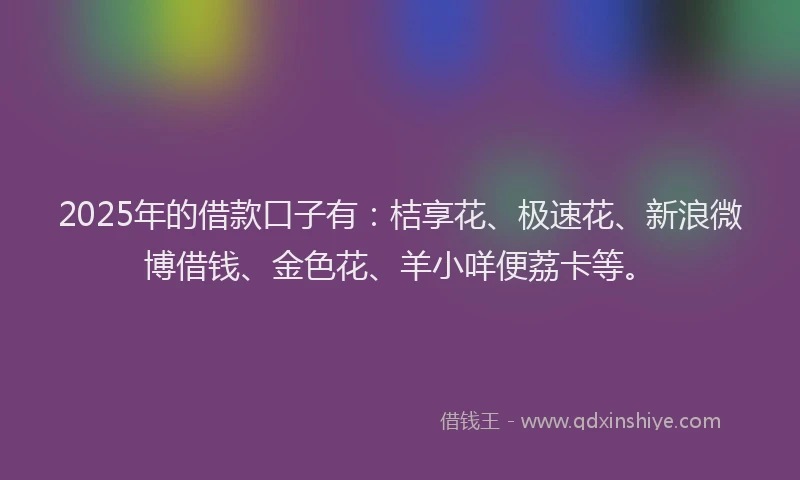 2025年的借款口子有:桔享花、极速花、新浪微博借钱、金色花、羊小咩便荔卡等。