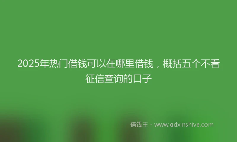 2025年热门借钱可以在哪里借钱，概括五个不看征信查询的口子