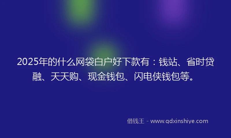 2025年的什么网袋白户好下款有：钱站、省时贷融、天天购、现金钱包、闪电侠钱包等。