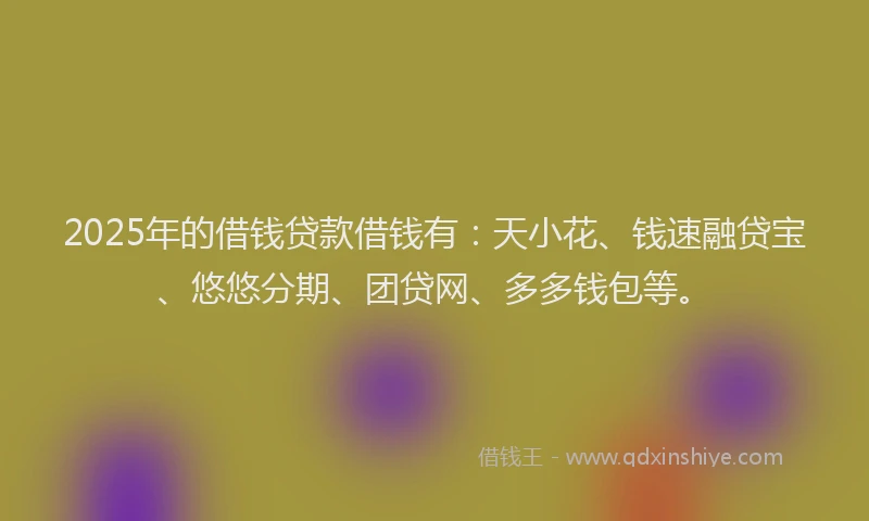 2025年的借钱贷款借钱有：天小花、钱速融贷宝、悠悠分期、团贷网、多多钱包等。