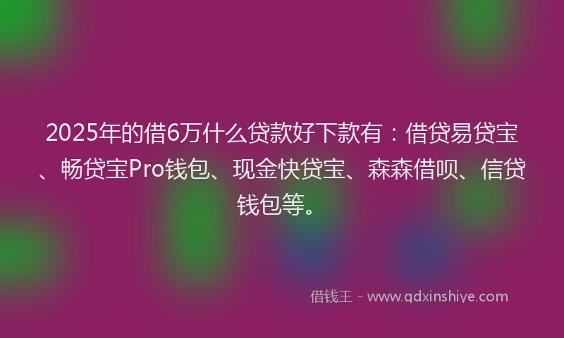 2025年的借6万什么贷款好下款有：借贷易贷宝、畅贷宝Pro钱包、现金快贷宝、森森借呗、信贷钱包等。