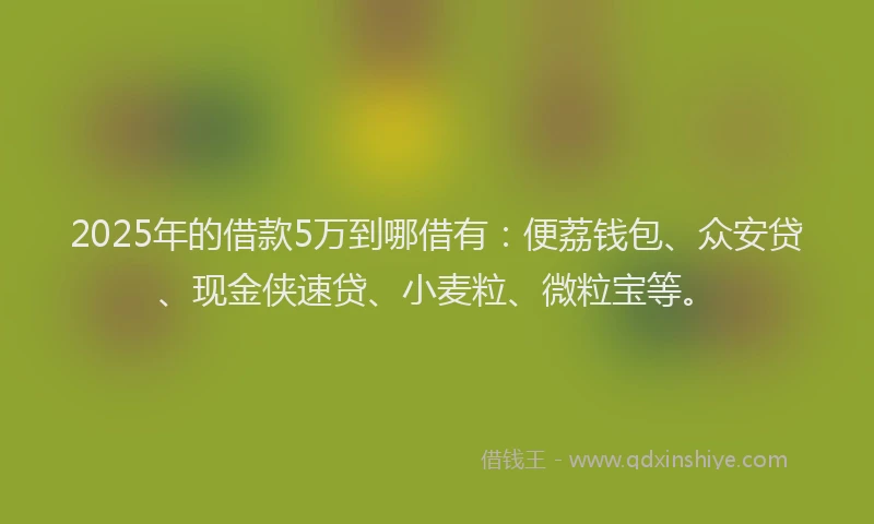 2025年的借款5万到哪借有：便荔钱包、众安贷、现金侠速贷、小麦粒、微粒宝等。