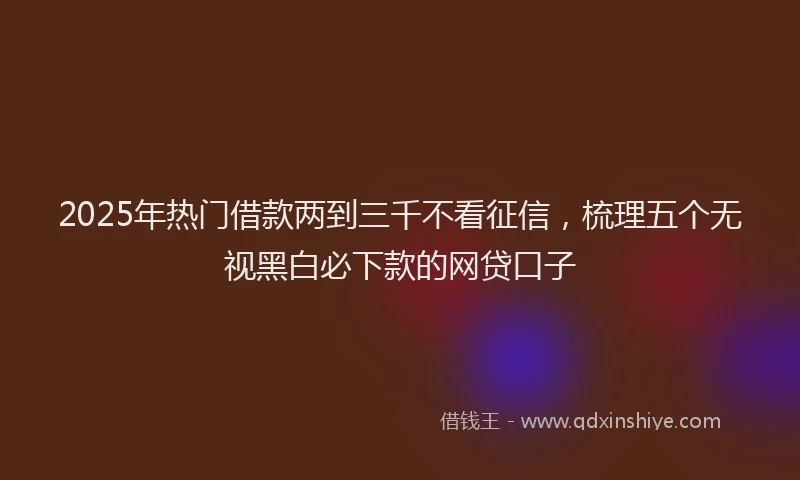 2025年热门借款两到三千不看征信，梳理五个无视黑白必下款的网贷口子