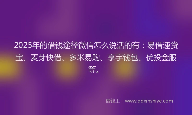 2025年的借钱途径微信怎么说话的有：易借速贷宝、麦芽快借、多米易购、享宇钱包、优投金服等。