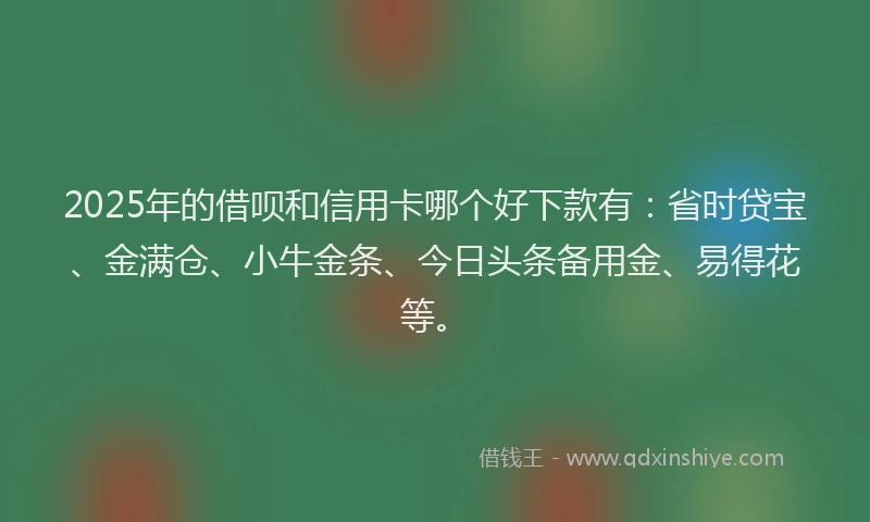 2025年的借呗和信用卡哪个好下款有：省时贷宝、金满仓、小牛金条、今日头条备用金、易得花等。