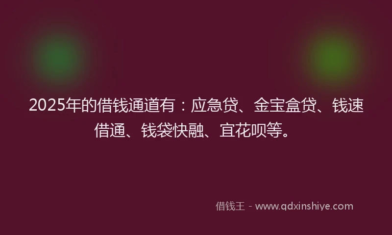 2025年的借钱通道有：应急贷、金宝盒贷、钱速借通、钱袋快融、宜花呗等。