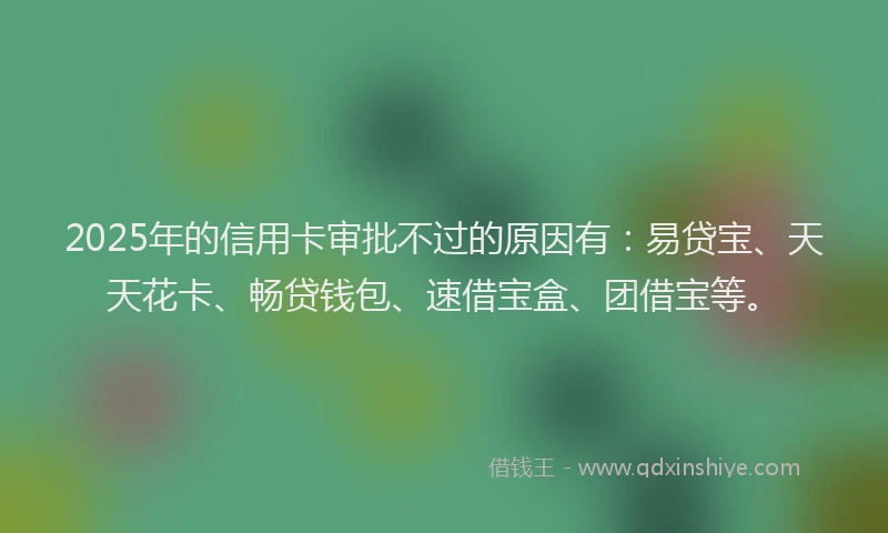 2025年的信用卡审批不过的原因有：易贷宝、天天花卡、畅贷钱包、速借宝盒、团借宝等。