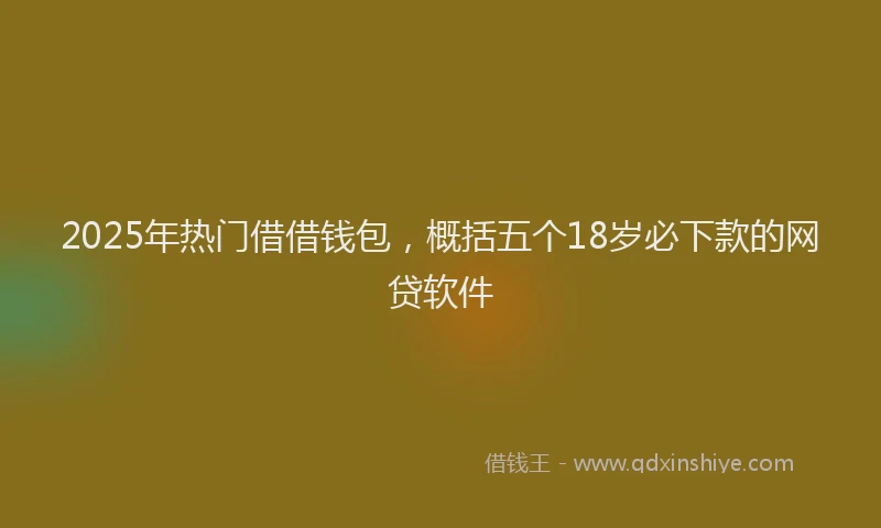 2025年热门借借钱包，概括五个18岁必下款的网贷软件