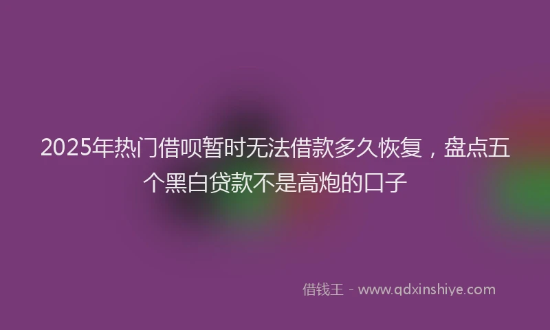 2025年热门借呗暂时无法借款多久恢复，盘点五个黑白贷款不是高炮的口子