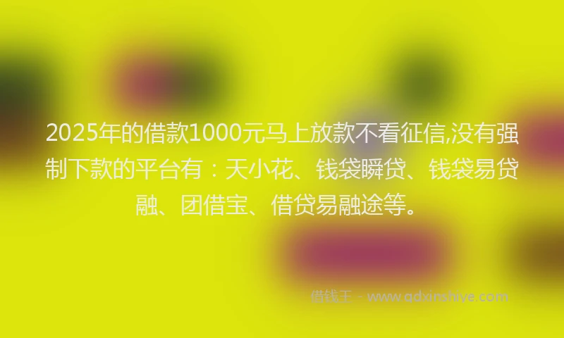 2025年的借款1000元马上放款不看征信,没有强制下款的平台有：天小花、钱袋瞬贷、钱袋易贷融、团借宝、借贷易融途等。