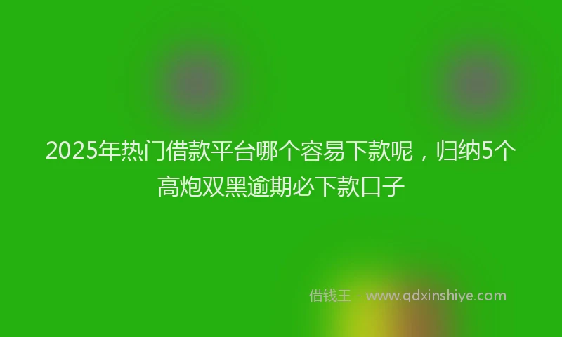 2025年热门借款平台哪个容易下款呢，归纳5个高炮双黑逾期必下款口子
