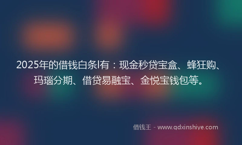 2025年的借钱白条l有：现金秒贷宝盒、蜂狂购、玛瑙分期、借贷易融宝、金悦宝钱包等。