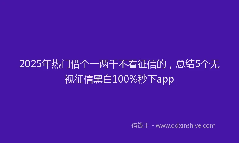 2025年热门借个一两千不看征信的，总结5个无视征信黑白100%秒下app