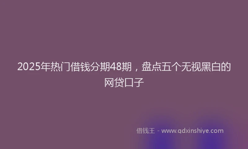 2025年热门借钱分期48期，盘点五个无视黑白的网贷口子