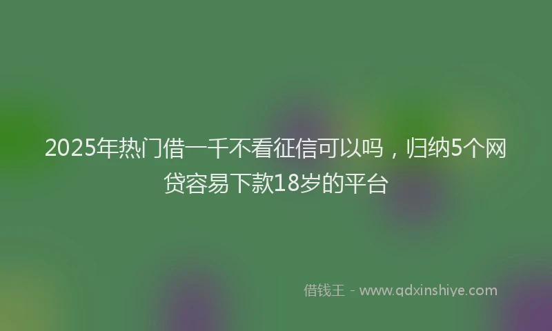 2025年热门借一千不看征信可以吗，归纳5个网贷容易下款18岁的平台