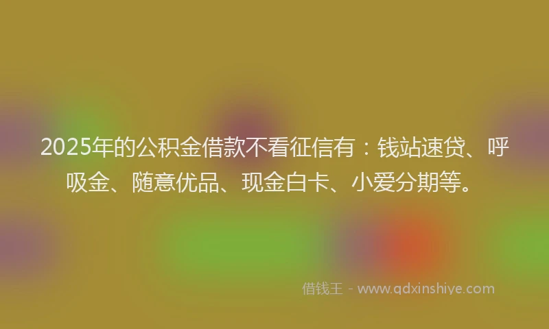 2025年的公积金借款不看征信有：钱站速贷、呼吸金、随意优品、现金白卡、小爱分期等。