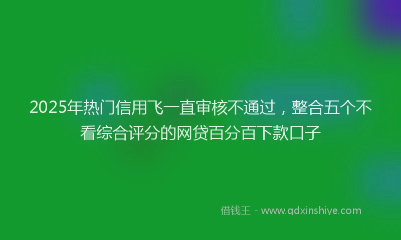 2025年热门信用飞一直审核不通过，整合五个不看综合评分的网贷百分百下款口子