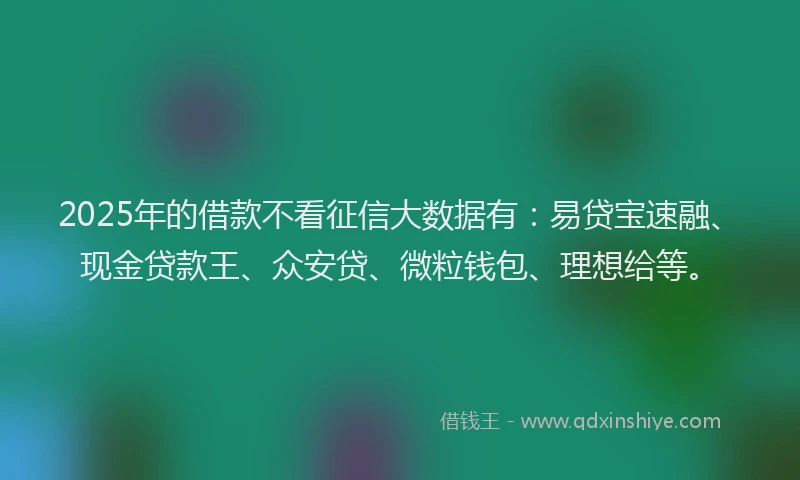 2025年的借款不看征信大数据有：易贷宝速融、现金贷款王、众安贷、微粒钱包、理想给等。