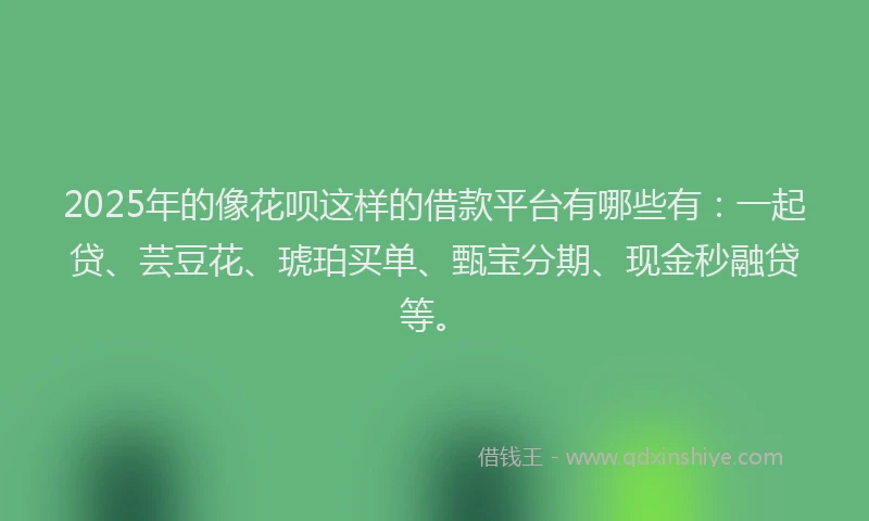 2025年的像花呗这样的借款平台有哪些有：一起贷、芸豆花、琥珀买单、甄宝分期、现金秒融贷等。