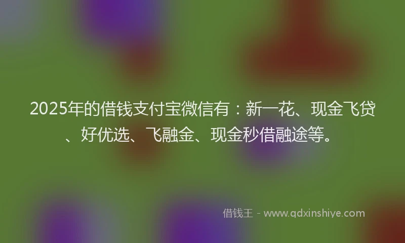 2025年的借钱支付宝微信有：新一花、现金飞贷、好优选、飞融金、现金秒借融途等。