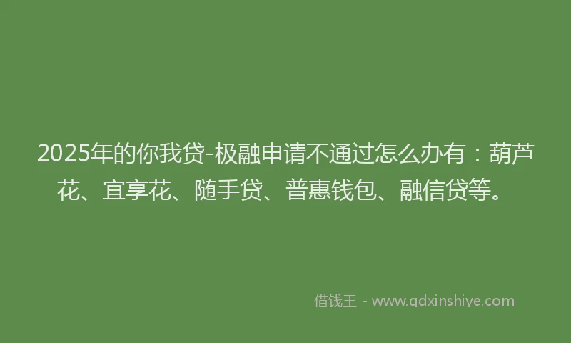 2025年的你我贷-极融申请不通过怎么办有：葫芦花、宜享花、随手贷、普惠钱包、融信贷等。