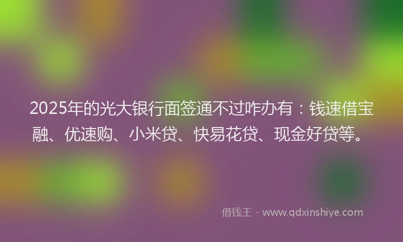 2025年的光大银行面签通不过咋办有：钱速借宝融、优速购、小米贷、快易花贷、现金好贷等。