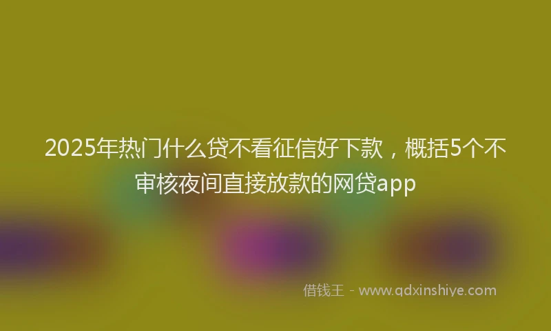2025年热门什么贷不看征信好下款，概括5个不审核夜间直接放款的网贷app