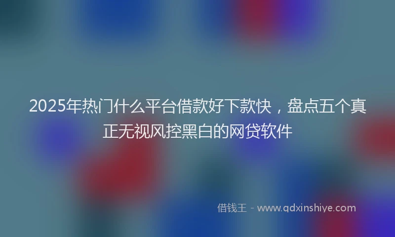 2025年热门什么平台借款好下款快，盘点五个真正无视风控黑白的网贷软件