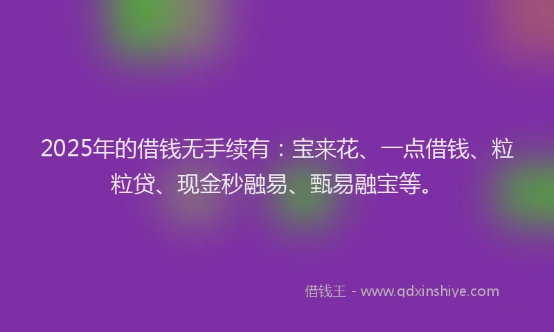 2025年的借钱无手续有：宝来花、一点借钱、粒粒贷、现金秒融易、甄易融宝等。