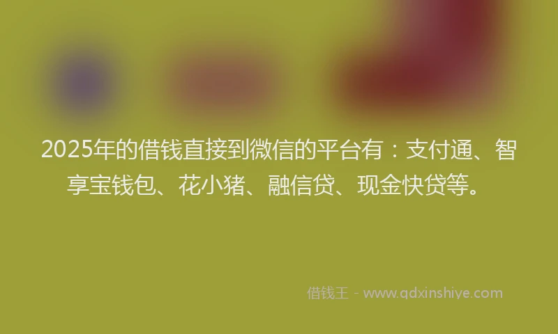 2025年的借钱直接到微信的平台有：支付通、智享宝钱包、花小猪、融信贷、现金快贷等。