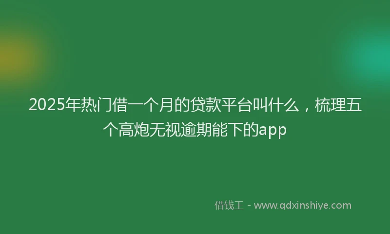 2025年热门借一个月的贷款平台叫什么，梳理五个高炮无视逾期能下的app
