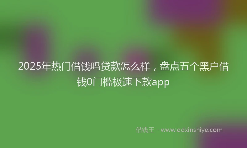 2025年热门借钱吗贷款怎么样，盘点五个黑户借钱0门槛极速下款app