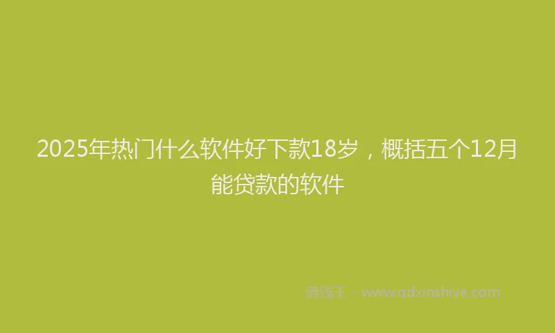 2025年热门什么软件好下款18岁，概括五个12月能贷款的软件