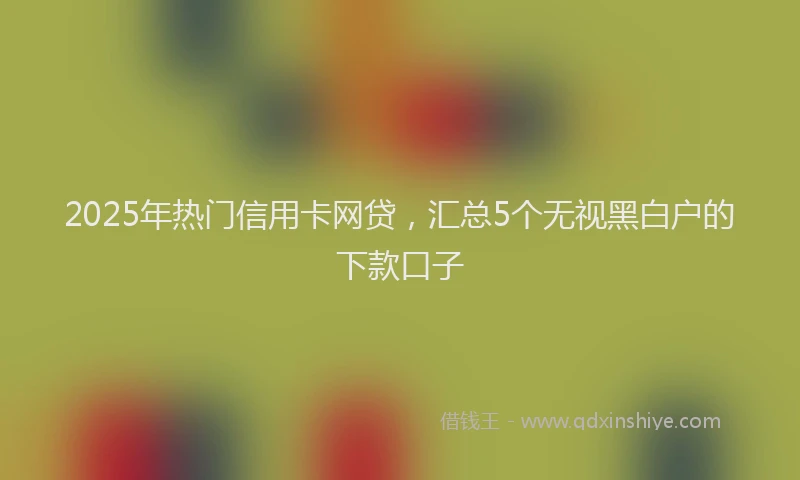 2025年热门信用卡网贷，汇总5个无视黑白户的下款口子