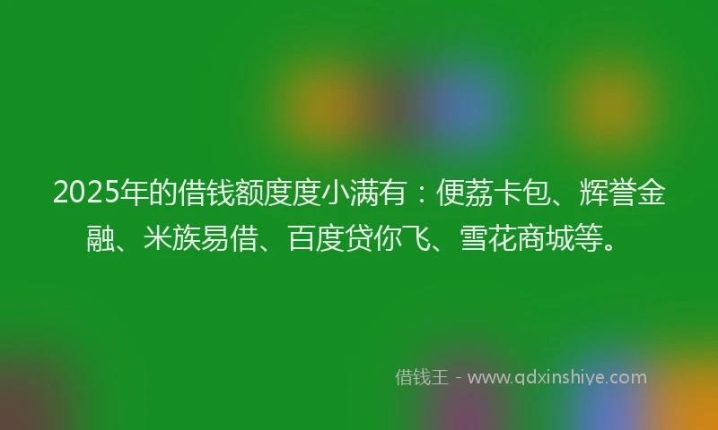 2025年的借钱额度度小满有：便荔卡包、辉誉金融、米族易借、百度贷你飞、雪花商城等。