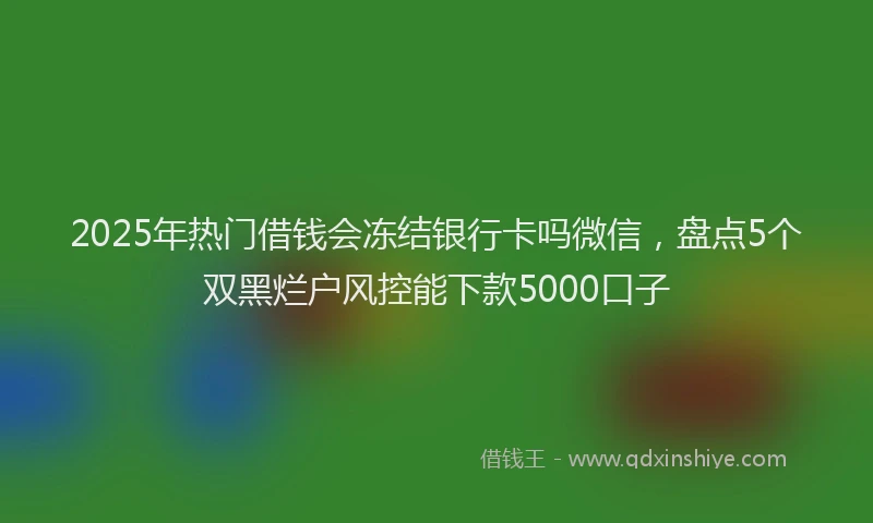 2025年热门借钱会冻结银行卡吗微信，盘点5个双黑烂户风控能下款5000口子