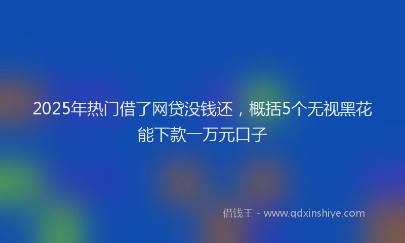 2025年热门借了网贷没钱还，概括5个无视黑花能下款一万元口子
