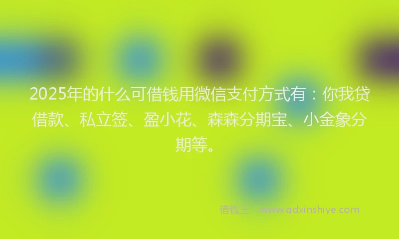 2025年的什么可借钱用微信支付方式有：你我贷借款、私立签、盈小花、森森分期宝、小金象分期等。
