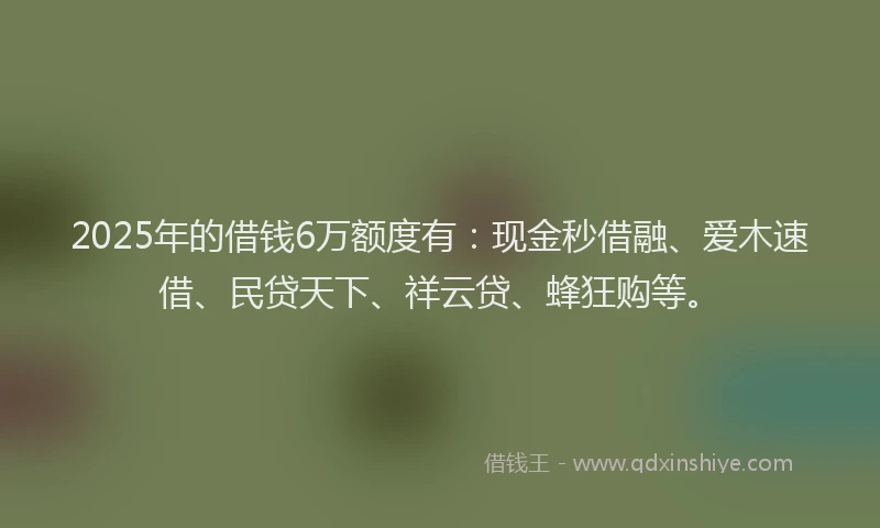 2025年的借钱6万额度有：现金秒借融、爱木速借、民贷天下、祥云贷、蜂狂购等。