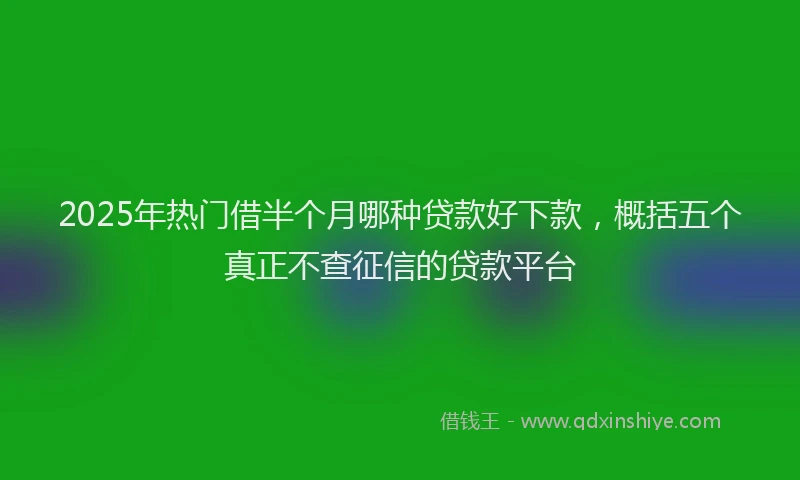 2025年热门借半个月哪种贷款好下款，概括五个真正不查征信的贷款平台