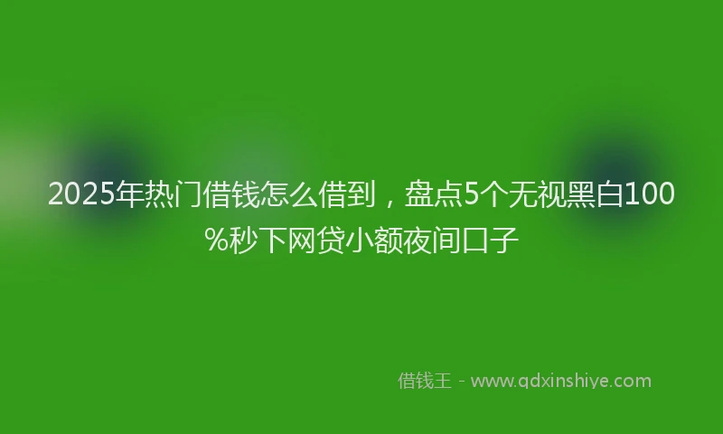 2025年热门借钱怎么借到，盘点5个无视黑白100%秒下网贷小额夜间口子
