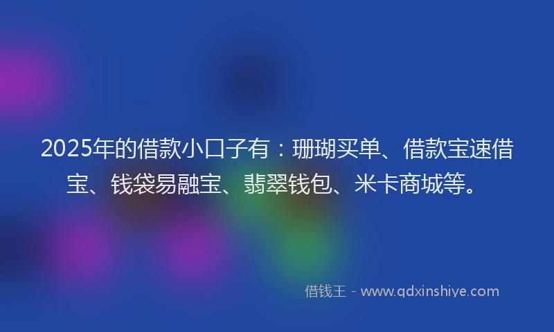 2025年的借款小口子有：珊瑚买单、借款宝速借宝、钱袋易融宝、翡翠钱包、米卡商城等。
