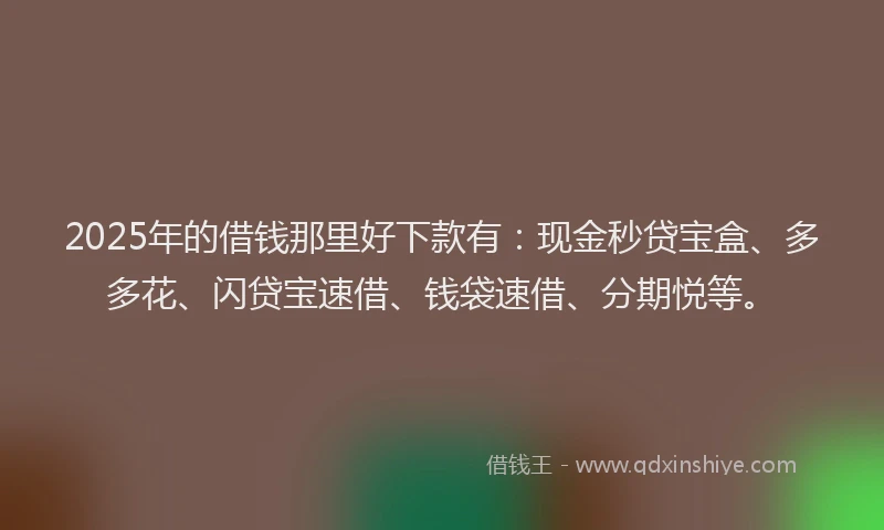 2025年的借钱那里好下款有：现金秒贷宝盒、多多花、闪贷宝速借、钱袋速借、分期悦等。